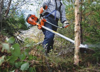 Forstfreischneider Gujer Landmaschinen AG, Husqvarna Vertretung